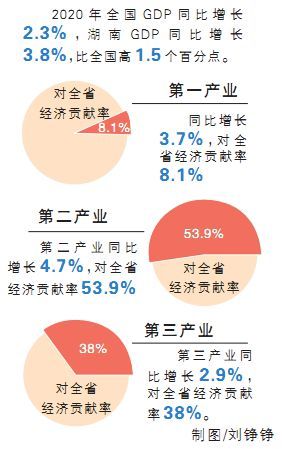 云南省各地gdp(3)