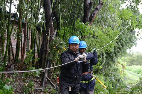 浙江嘉兴紧急修复被“烟花”破坏的电力线路