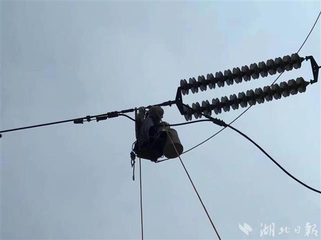 武汉供电首次使用电动爬升器带电作业