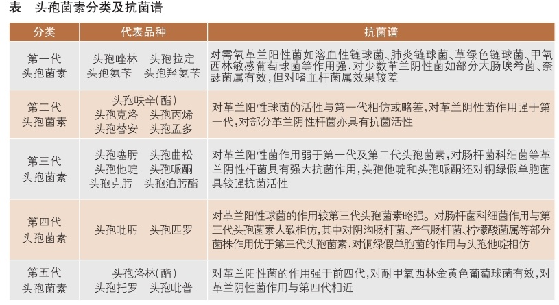 a组溶血性链球菌和肺炎链球菌等所致的上,下呼吸道感染,尿路感染,血流