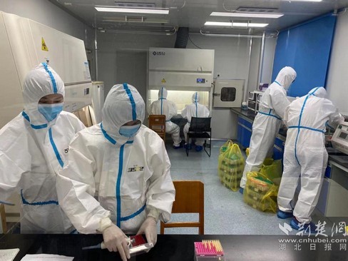 鄂州市中心医院检验科一天检测6000多管核酸样本