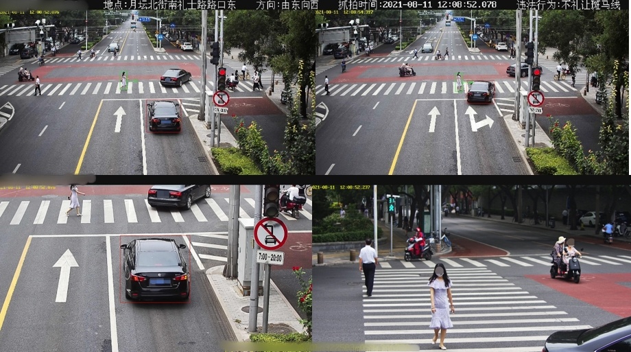 新华全媒+|关注首都道路安全 机动车不礼让行人行为请你来“拍”