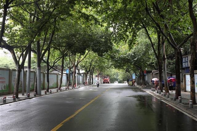 武汉市洪山区4条道路完成提档升级