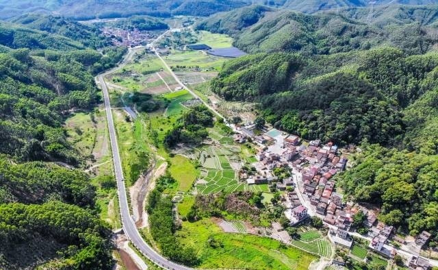 【乡村振兴】佛山高明：2021年拟建设提升至少50公里农村路