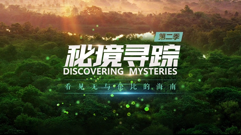 《秘境寻踪》第二季第五集：藏匿红树林中的“鸟岛”
