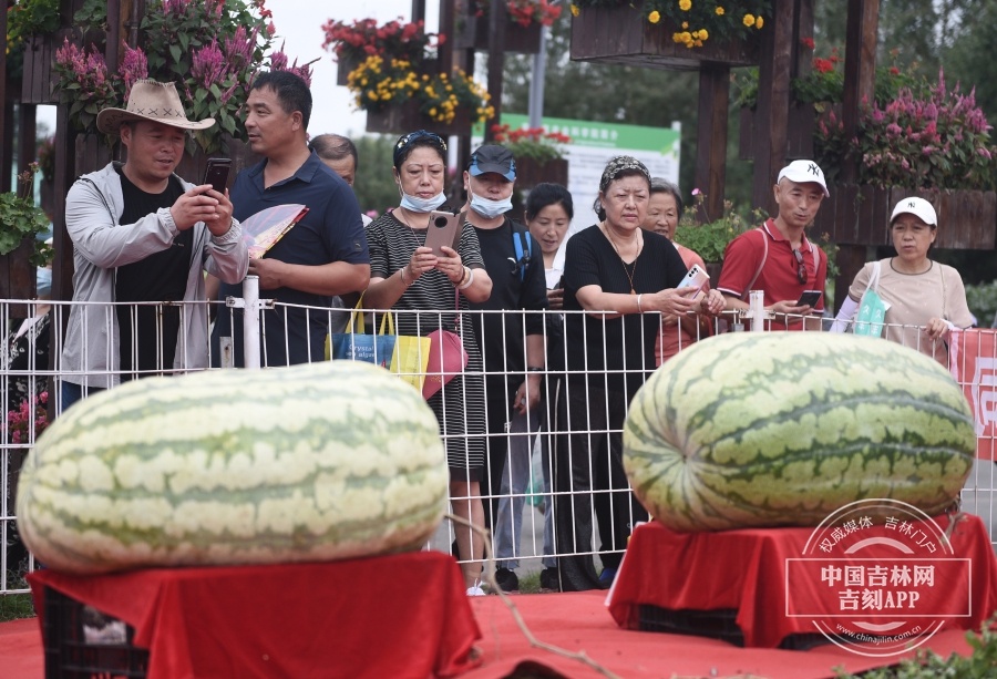 吉镜头丨第二十届中国长春国际农业·食品博览（交易）会开幕