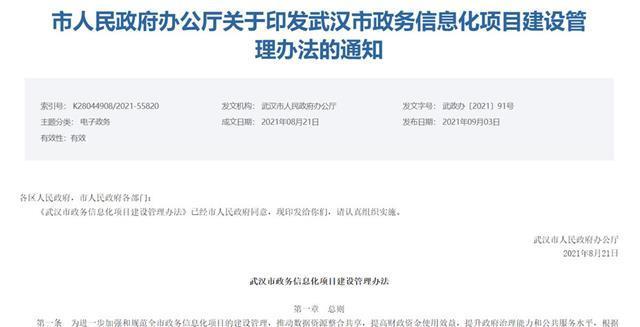 超过3000万报市政府批  武汉出台政务信息化项目建设管理办法