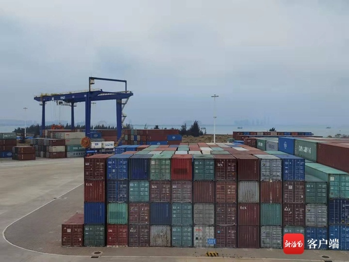 创历史新高 洋浦国际集装箱码头8月吞吐量突破12.55万标箱
