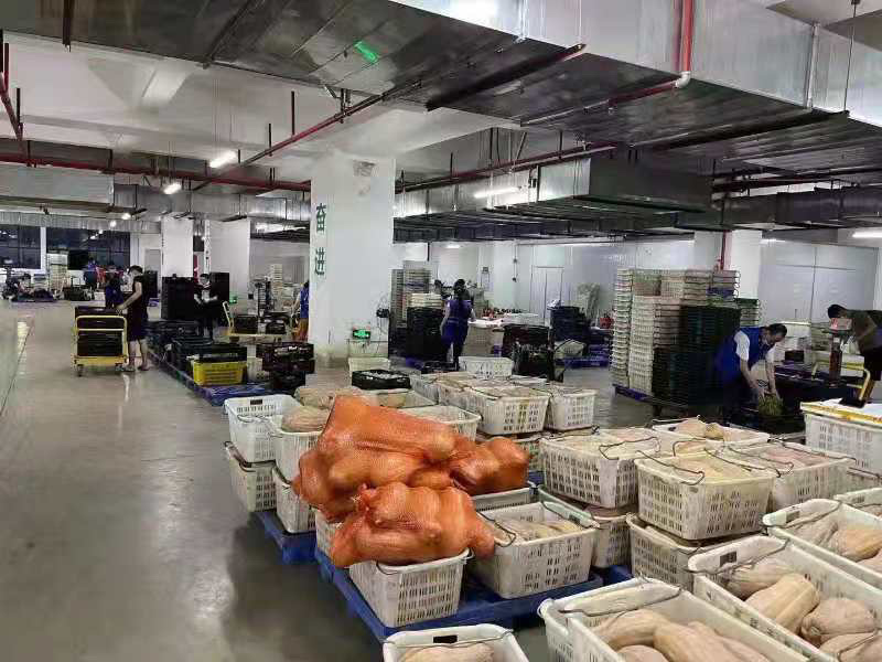 海口市菜篮子集团储备2700吨蔬菜应对台风“康森”