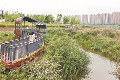 温榆河综合治理工程已全部完工 15公里河道处处现美景
