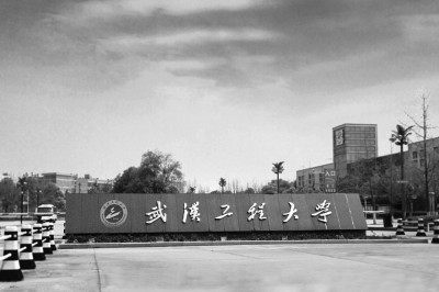 武汉工程大学外语学院：跨·融·创·通 培养高素质复合型国际化外语人才