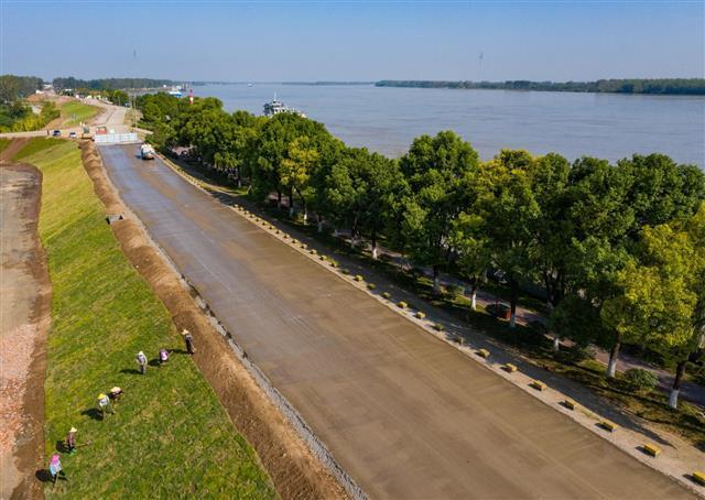 公安长江干堤成生态景观大道