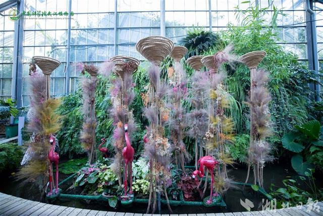 昼赏花、夜观灯 武汉植物园十一假期特色活动多多
