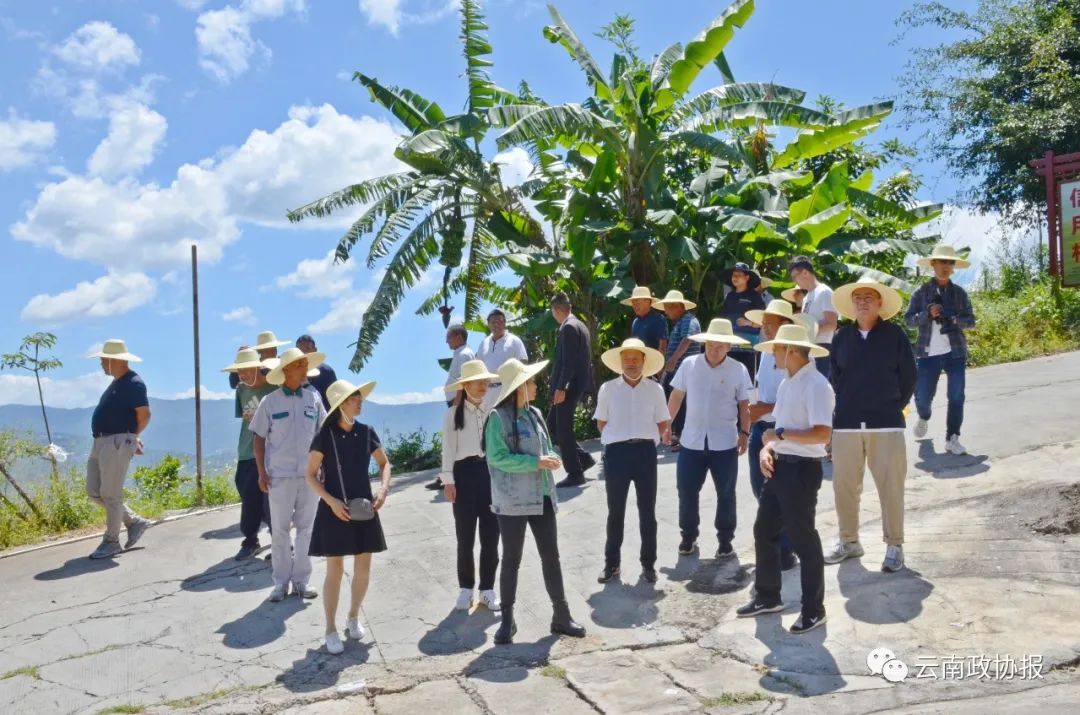 "日前,随着南涧彝族自治县小湾东镇党委书记黄建波郑重宣布,一场关于"