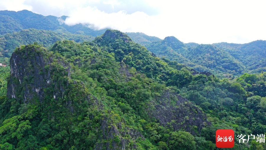 走进海南热带雨林国家公园体制试点区毛瑞片区 追寻生态变迁的背后故事