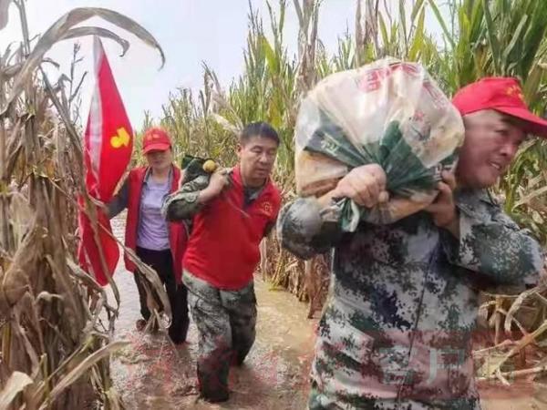 河南安阳：国庆假期“虎口夺食” 党旗和志愿者队旗从田间地头飘扬到群众心中