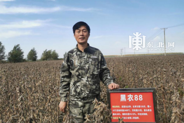 黑龙江省秋收跑出“加速度” 农作物收获超过5000万亩