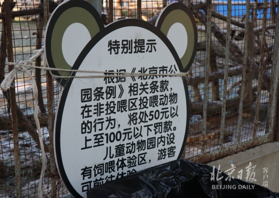 北京动物园:监控全覆盖
，多设曝光台，投喂动物却屡禁不止