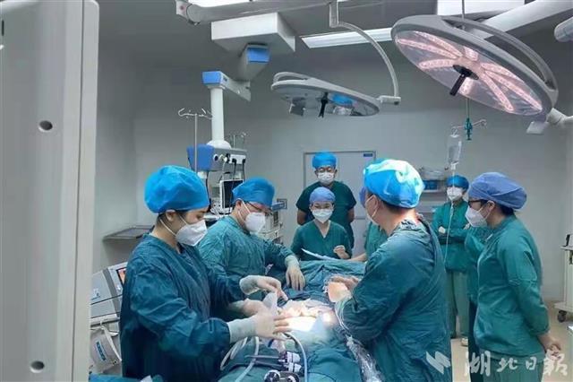 多科室联合作战，中部战区总医院为患者成功切除巨大肿瘤