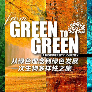 全球连线 ｜ 从绿色理念到绿色发展
