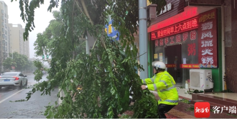 文昌交警及时清理街道倒伏绿化树