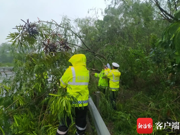 海三高速屯昌段树木倒伏影响通行 当地交警全员上路逆风而战