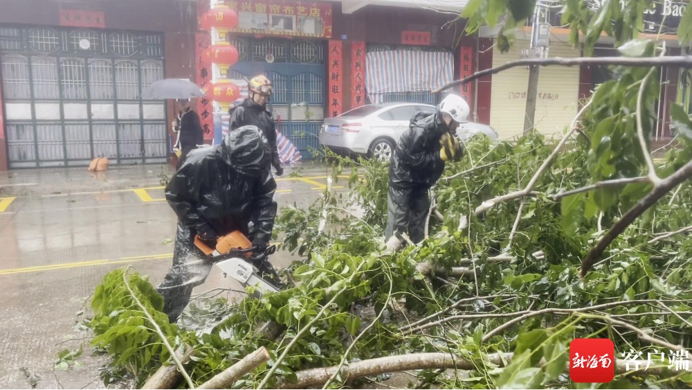 洋浦消防战台风6小时接警20起 清理多处树障