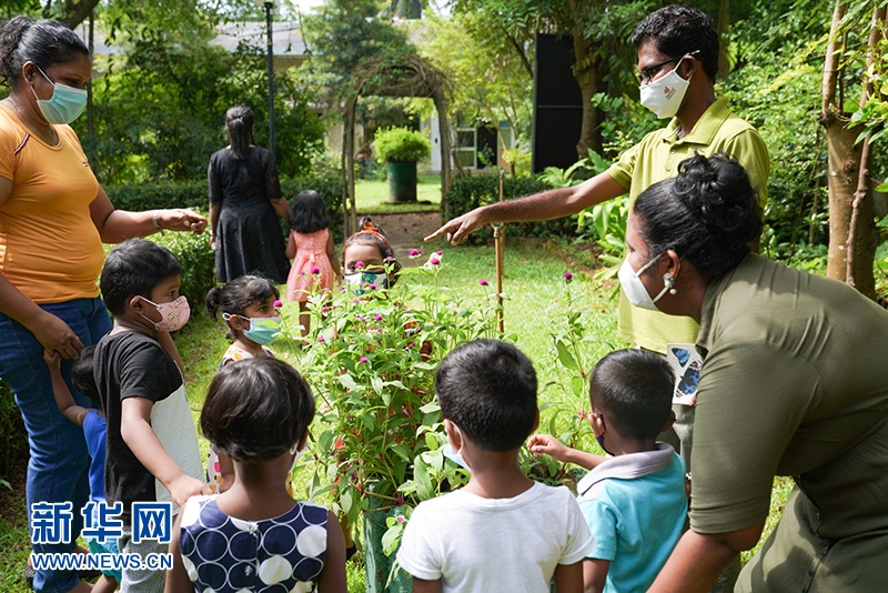 通讯：在欢乐中启蒙斯里兰卡下一代保护蝴蝶和树木