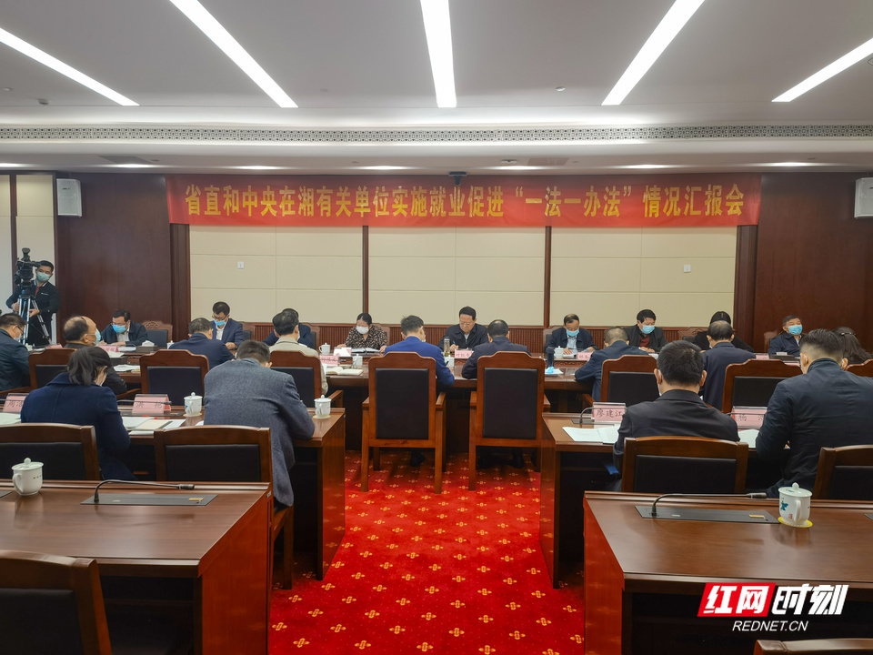 湖南省人大常委会召开实施促进就业“一法一办法”情况汇报会