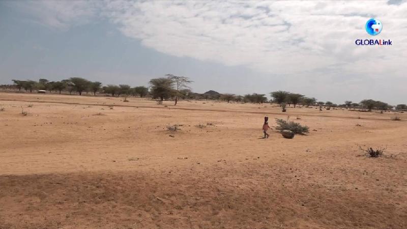 全球连线丨肯尼亚旱情持续 210万人面临饥荒