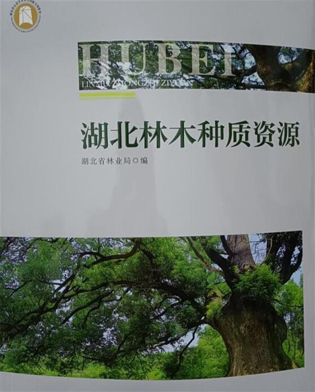 记录全省2783种木本植物 《湖北林木种质资源》正式出版