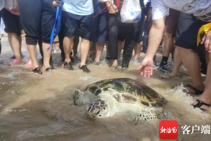 2021第七届“南海海龟保护行动”公益活动在文昌举行