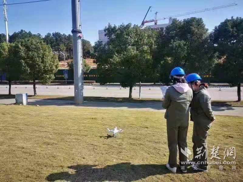 武汉供电推进输电全景平台无人机自主巡检