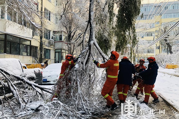 哈尔滨市森林消防支队战雨雪斗冰冻 圆满完成任务