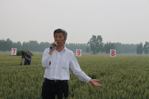 小麦育种专家许为钢当选中国工程院院士 河南院士已有25人