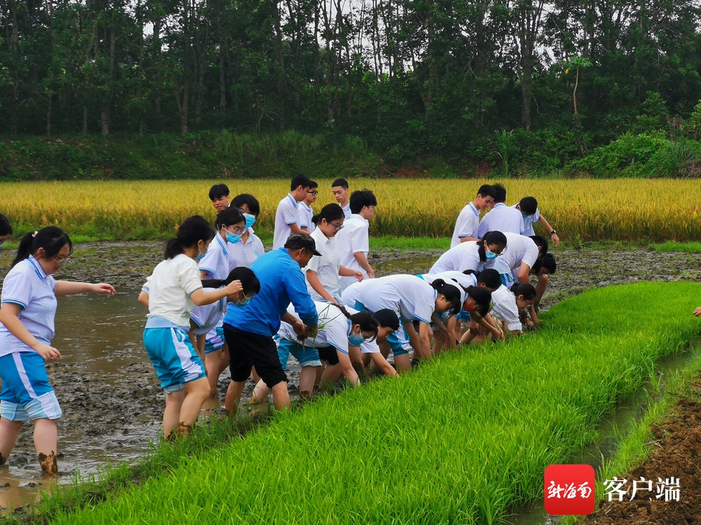 海南中学举行第23届综合实践活动 近千名学生走上社会学习技能