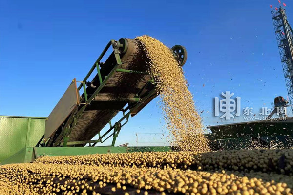 奋进龙江|黑龙江省农业经济保持良好发展势头