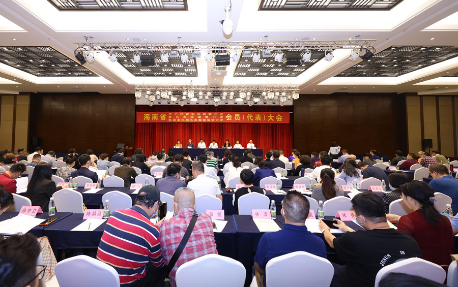 海南省文艺评论、音乐、影视家协会代表大会召开 确定三协会主席名单