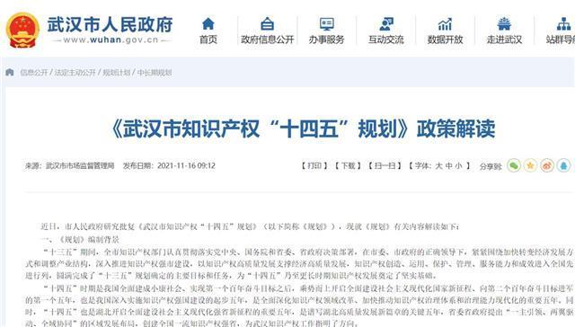 建设全国一流知识产权强市 武汉发布知识产权“5年施工图”