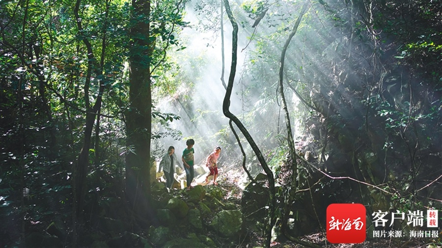 《穿过雨林》11月24日全国公映 用艺术手法呈现海南教育扶贫故事
