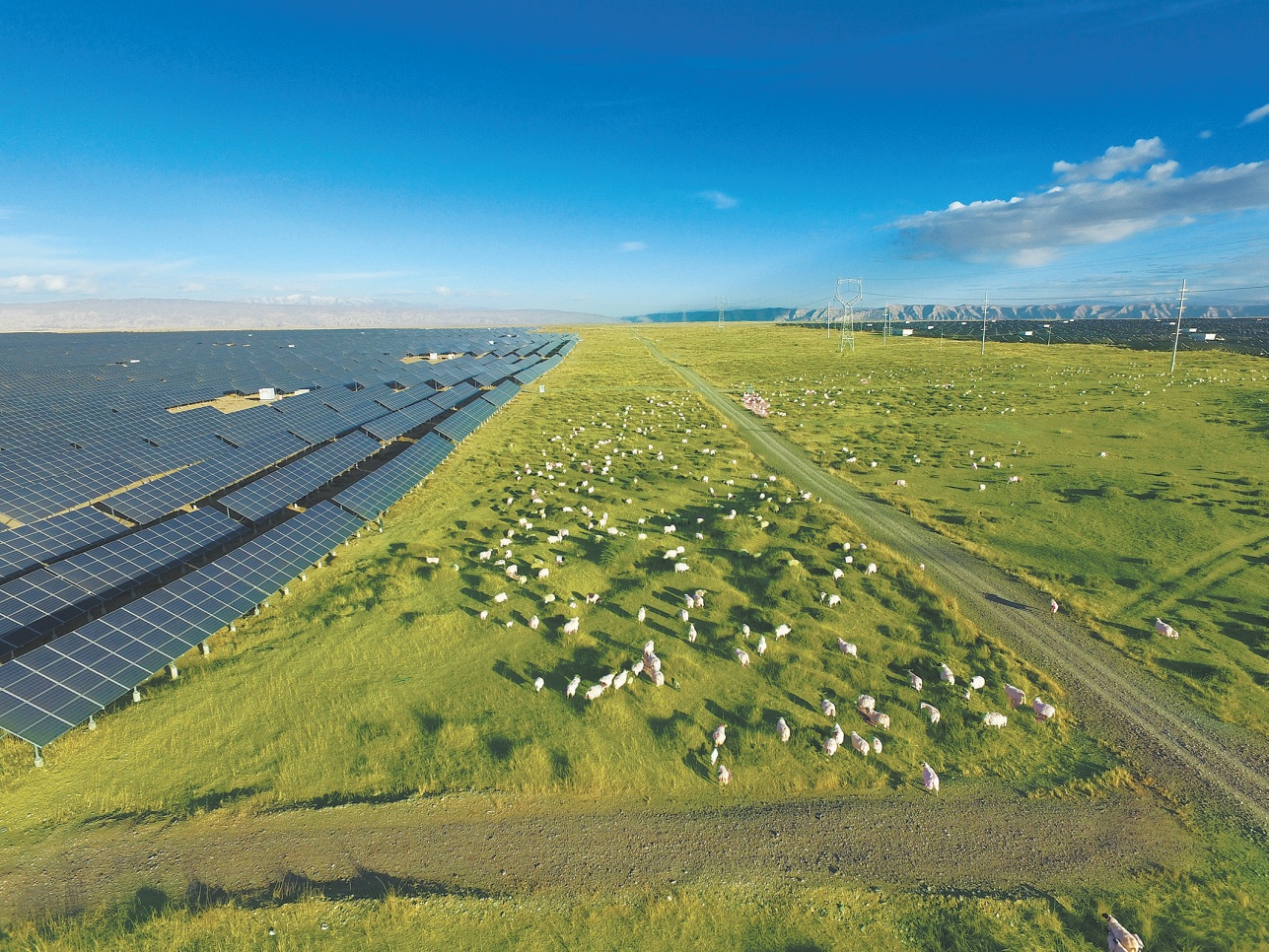 青海，突破“四项技术”升级能源发展——青海打造国家清洁能源产业高地系列综述之四