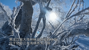 新华全媒+｜“网红”主播“热”话“中国雪乡”