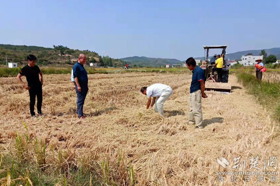 红安县大力推进农作物秸秆综合利用 当地农民实现“两头赚”