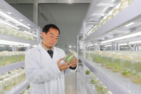 焦作温县：科技特派员让农业更具“科技范儿”