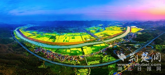 阳新排市镇全力打造“花海小镇”  预计2022年带动旅游消费2亿元
