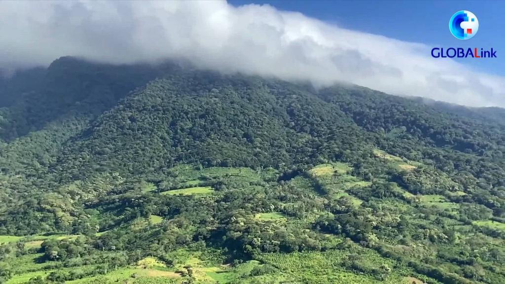 全球连线｜乘直升机前往奥梅特佩岛，我们目睹了尼加拉瓜的生态一隅