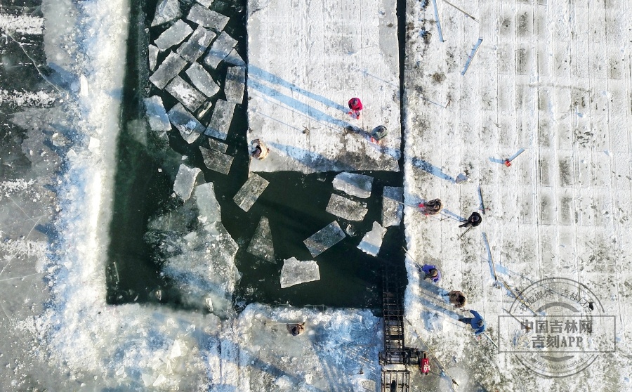 吉镜头丨长春南湖的采冰人