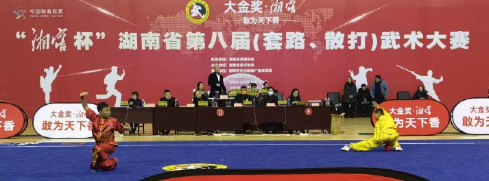 2021年湖南省第八届武术大赛开幕