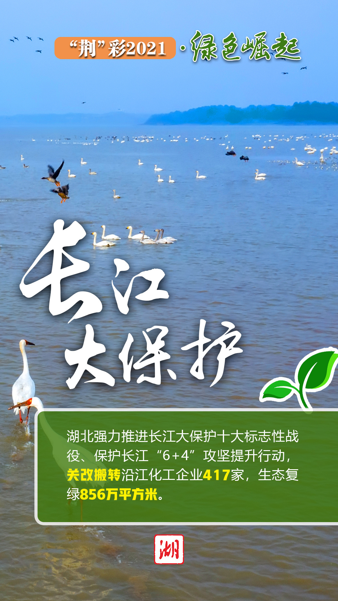 “荆”彩2021·长江“金腰带”闪耀“绿色明珠”