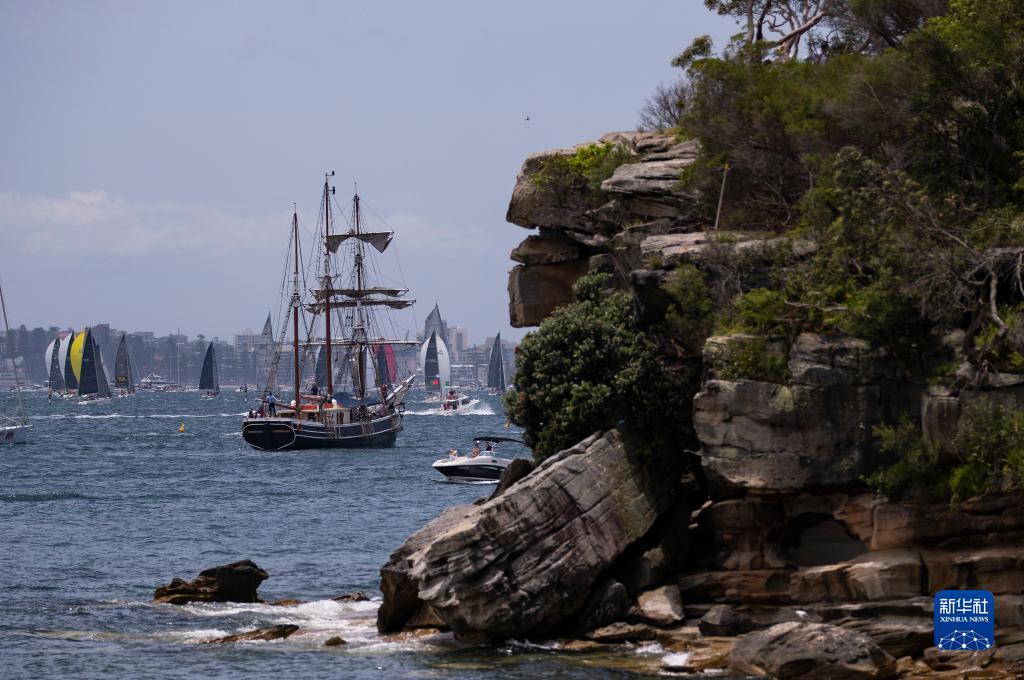 悉尼-霍巴特帆船赛启航